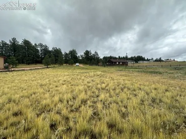 311 Homestead Ln, Florissant, CO 80816