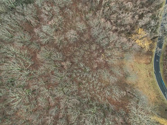 3rd image of 7 Day Lily Rd