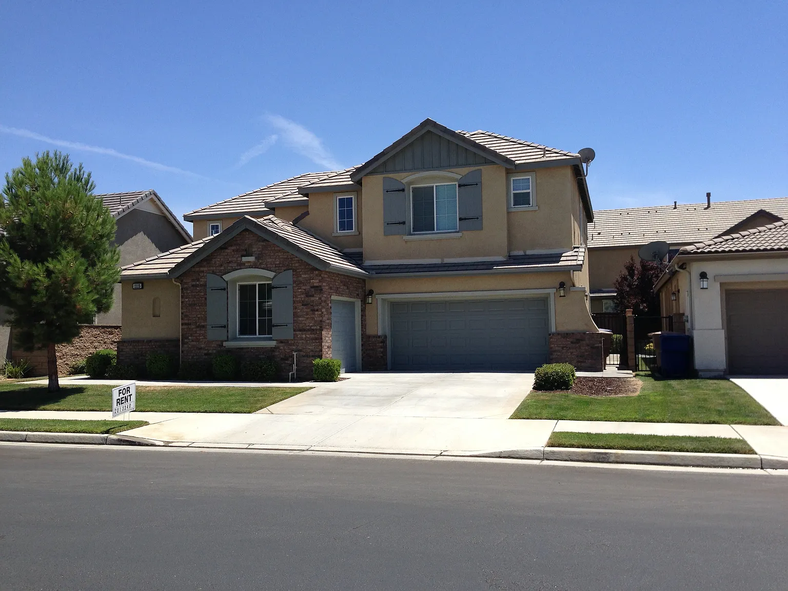 11115 Patagonia Way photo 1