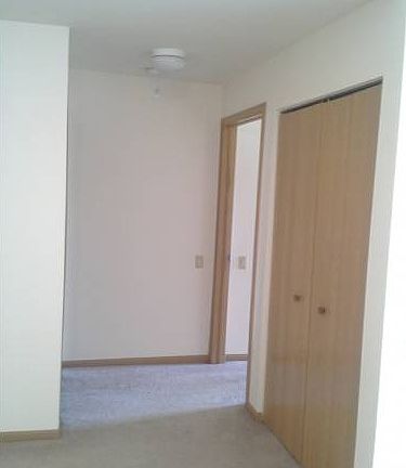 Coat Closet in Hallway