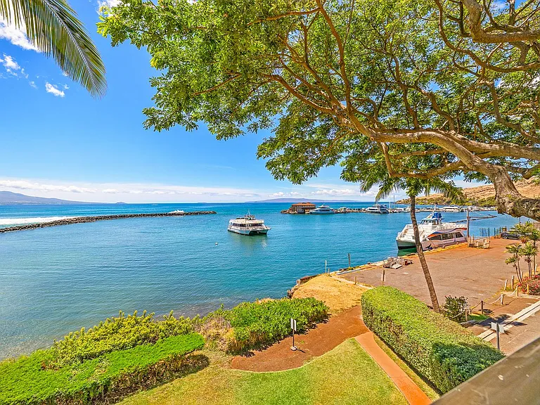30 Hauoli St #310 — Photo 35