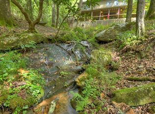 1431 Cashes Valley Ln, Cherry Log, GA 30522