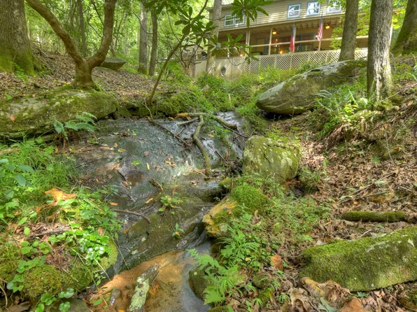 1431 Cashes Valley Ln, Cherry Log, GA 30522