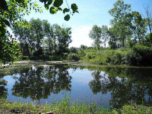Pond with Pier