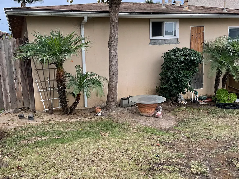 Front yard