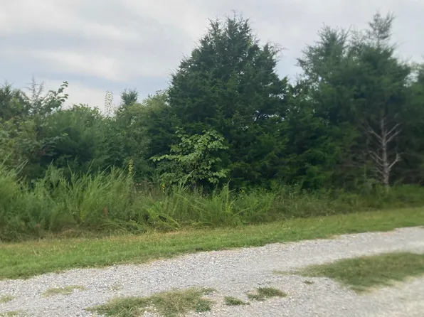 000 Reid Drive, Theodosia, MO 65761