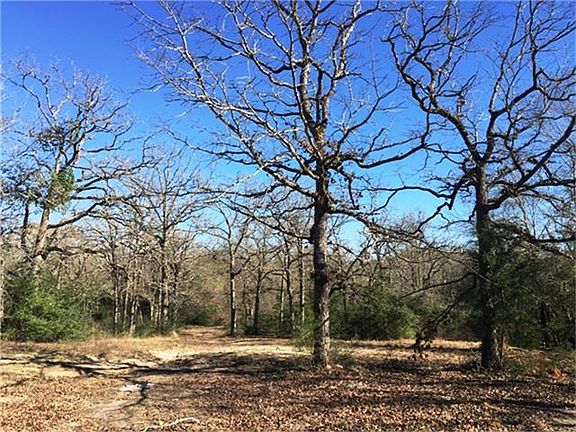 5th image of 2807 County Road 303