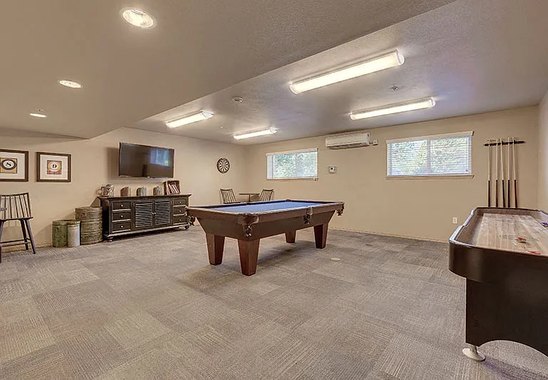 Play a Game of Pool