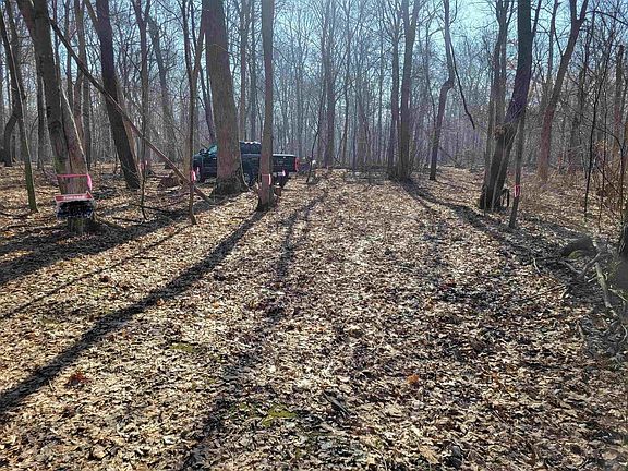 2nd image of 25 Acres Lerch Road