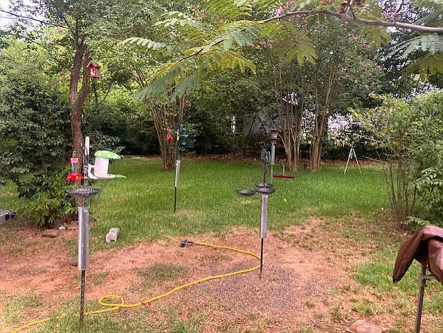 3 bed, 1.5 bath, 1769 sqft, $1,450 — Photo 2