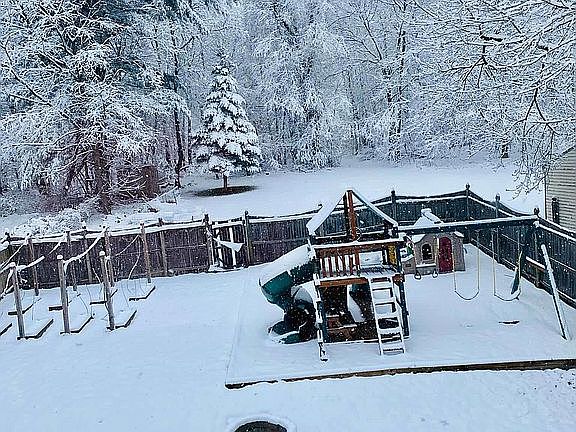 Large double lot backyard