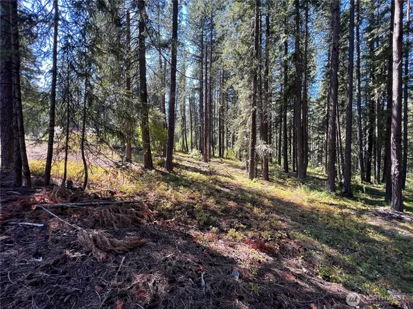 22745 Lake Wenatchee Highway, Leavenworth, WA 98826