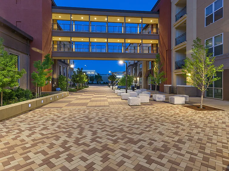 Paragon — Photo 41