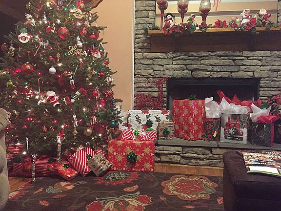 Christmas fun