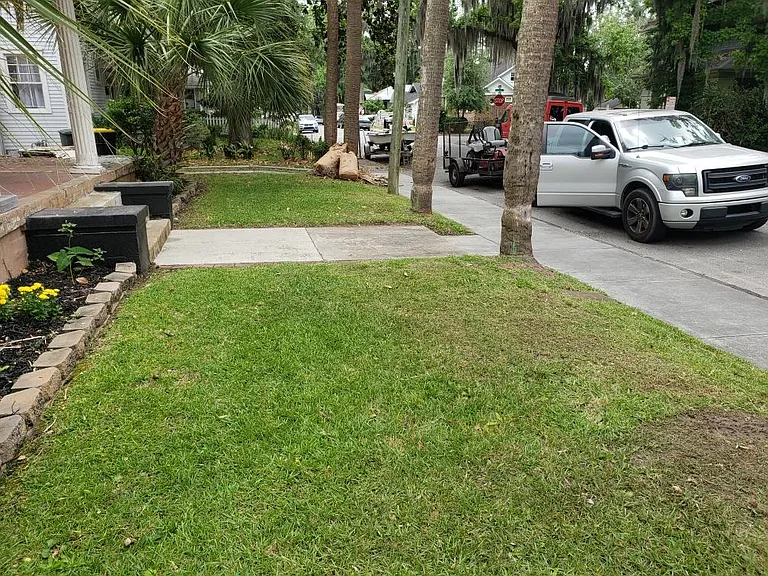 Front yard