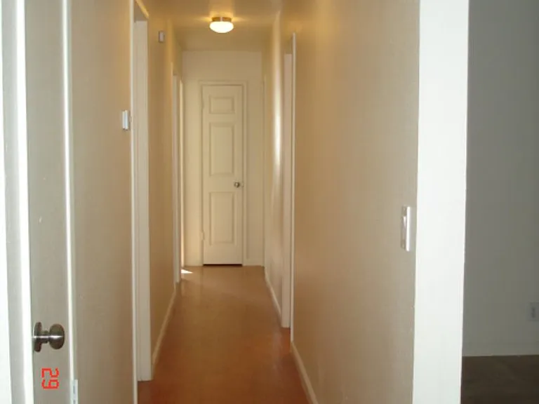 249 De Soto Dr — Photo 9