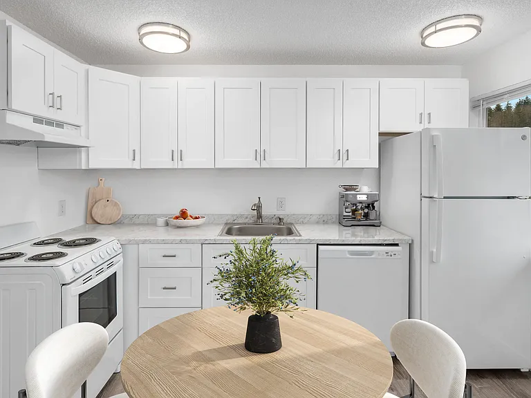 Kitchen (Deluxe Renovated Home)