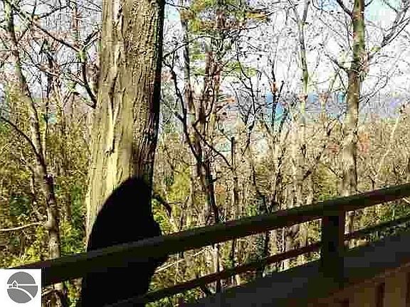 5th image of 24 Hawks Nest #24