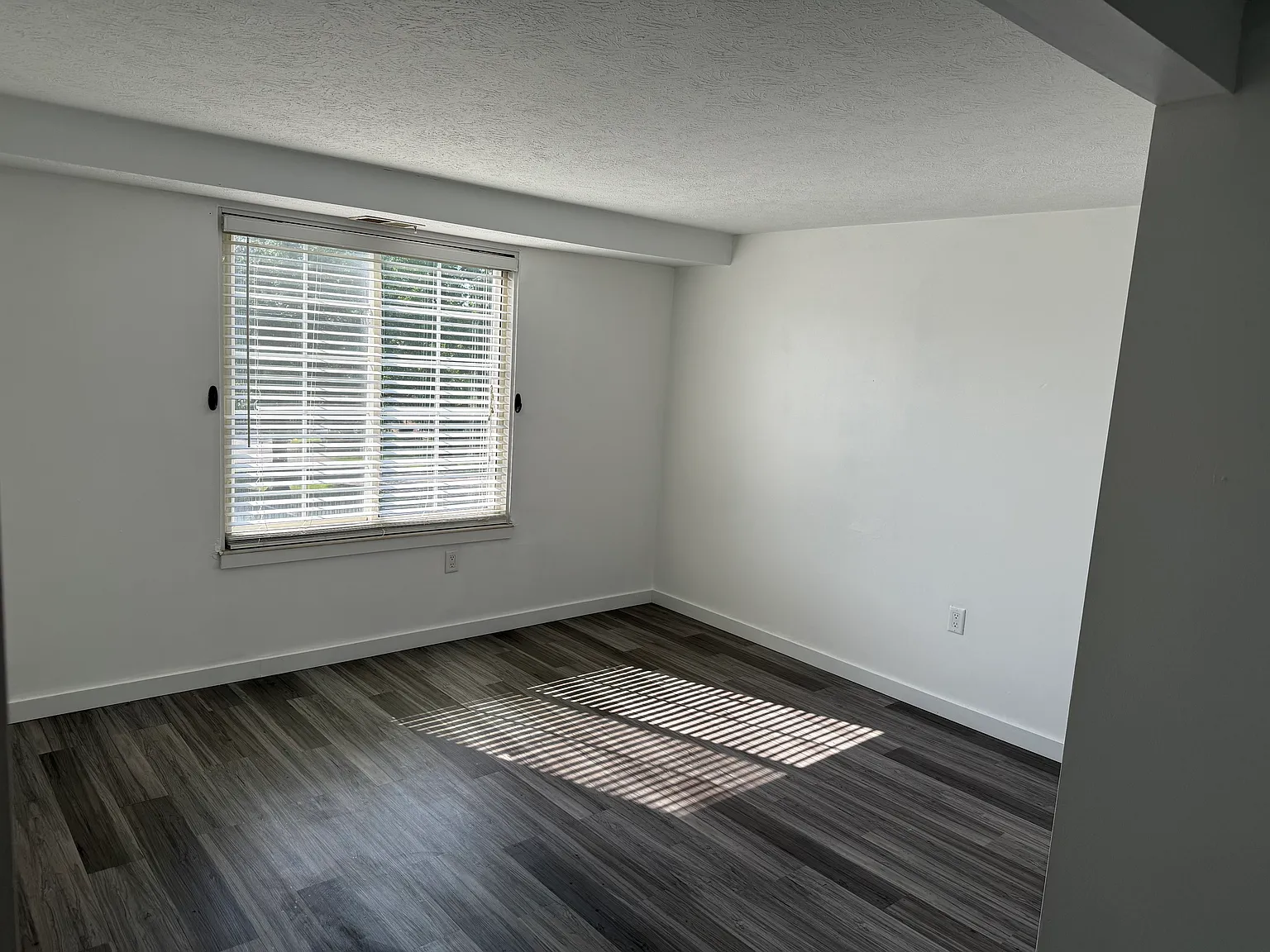 2 bed, 920 sqft, $1,200 — Photo 4