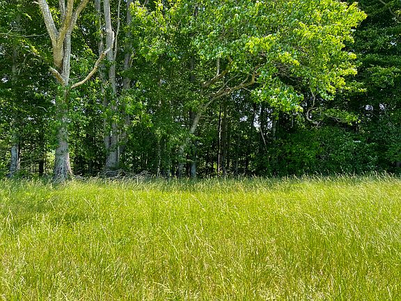 4th image of 77 Meadows Loop