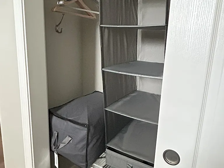 Closet storage
