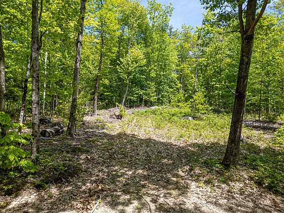 3rd image of 19 Burton Road #19