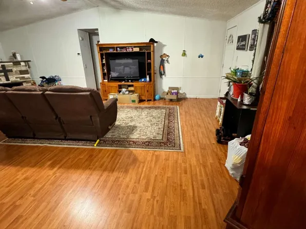 230 McDaniel St, Alto, GA 30510