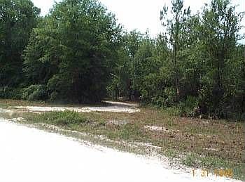 1st image of 598 NE 394 Ave