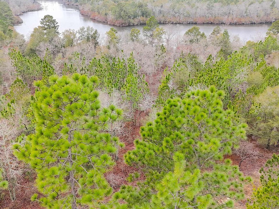 2nd image of 0 Browns Pond Rd