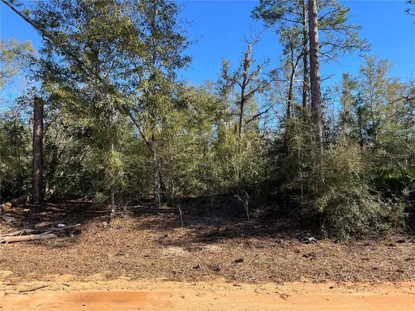 Bienville Ct Lot 3, Alford, FL 32420