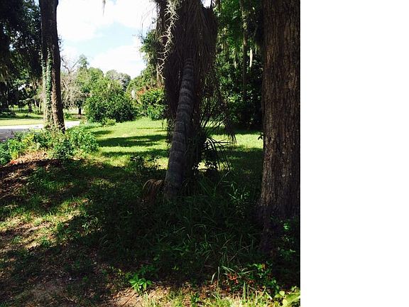 2nd image of 23 Tomoka Oaks Blvd