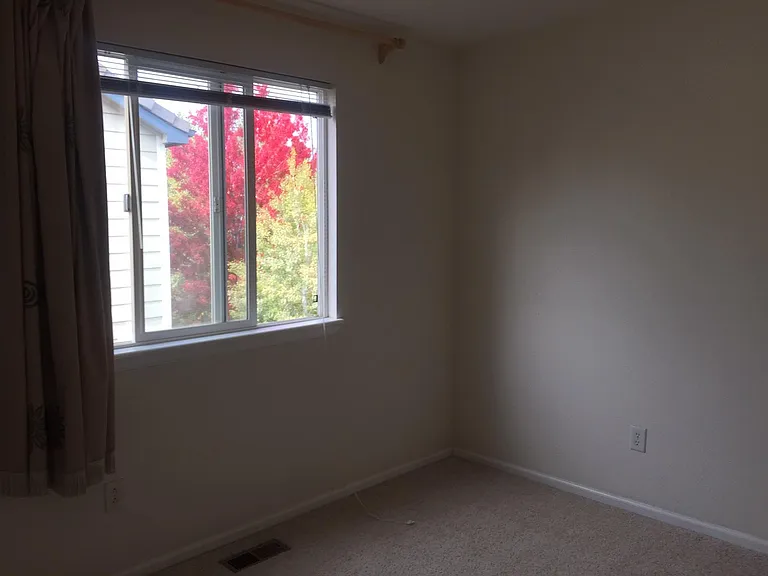 923 Grays Peak Dr — Photo 41