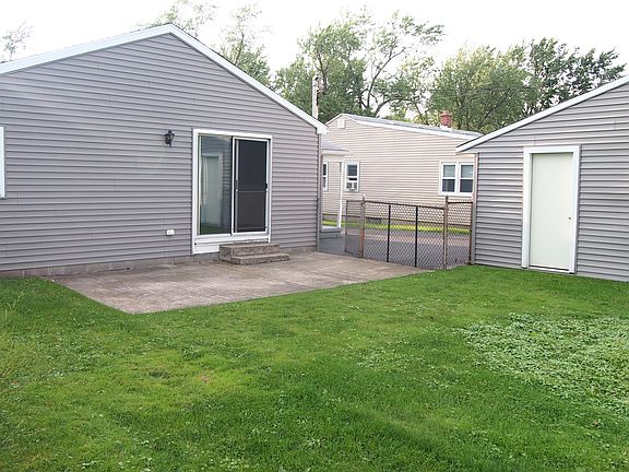 Back Yard 1