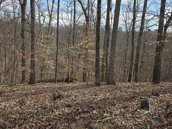 LOT 937 Stoneway Ct, White Pine, TN 37890