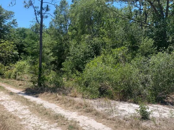 2649 N Todd Road, Avon Park, FL 33825