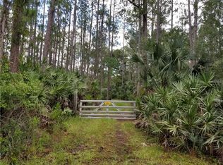 1289 Tall Pine Dr, Osteen, FL 32764