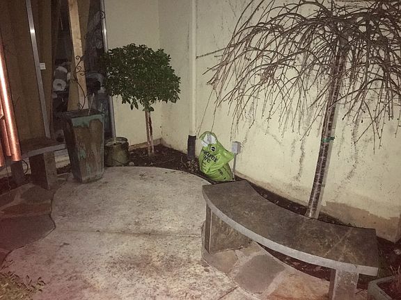 Stone bnch, weeping cherry t