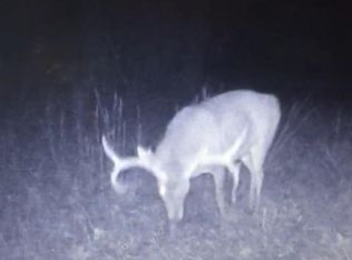 1545 Dulaney Rd, Terry, MS 39170