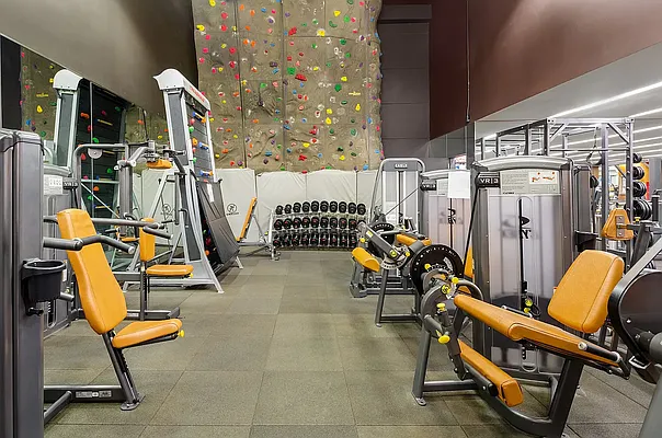 Rented by Douglas Elliman | media 14