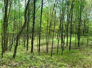 Nn V L 9 Mile Rd, Evart, MI 49631