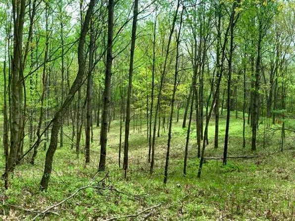 Nn V L 9 Mile Rd, Evart, MI 49631