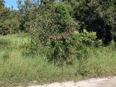 0 SE 33rd Ter #28-31, Summerfield, FL, 34491
