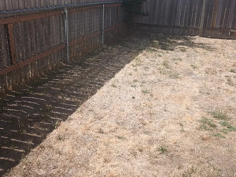 Fenced back yard