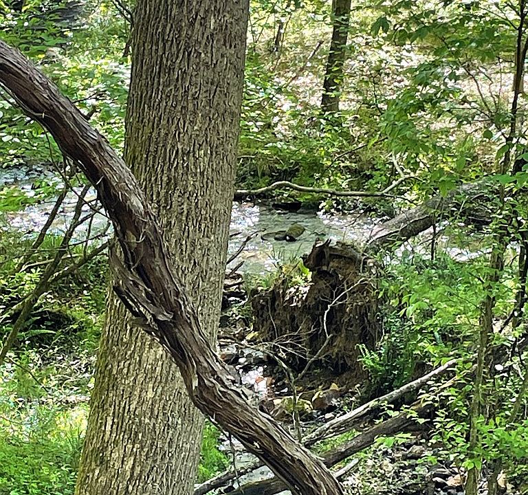 2nd image of 2806 Duncan Mill Rd