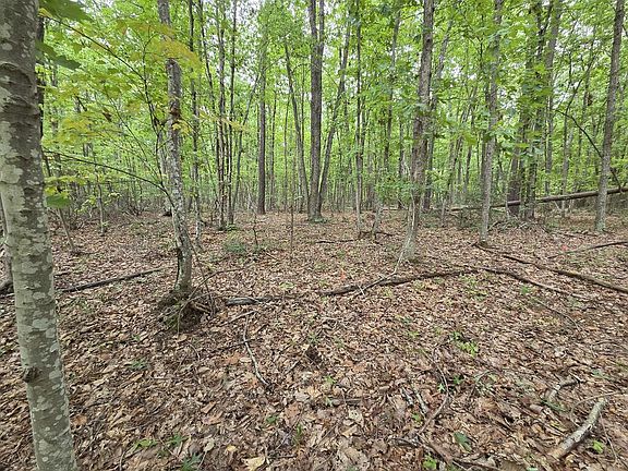 4th image of 604 Meadow Creek Rd