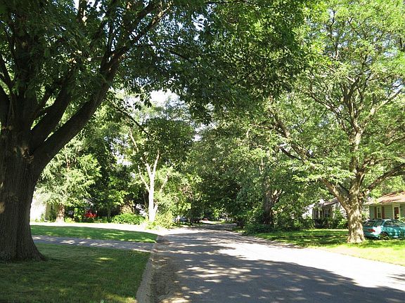 Briarcliff is a beautiful tree lined street. (Viewing east.)