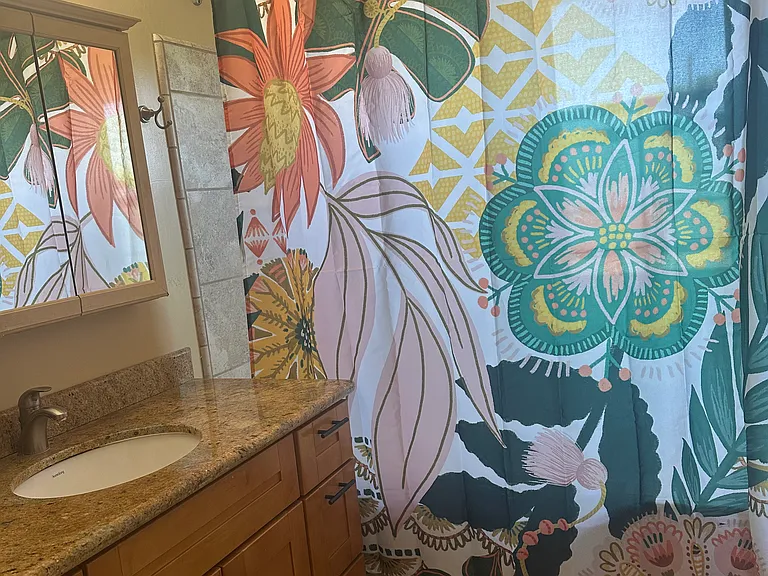 Additional bathroom view