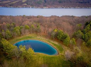 3324 Jerusalem Springs Ln, Bluff Pt, NY 14478