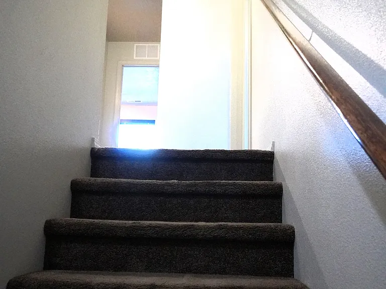 10686 Ice Springs St — Photo 7