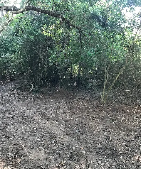 Manuel Rd — Photo 29